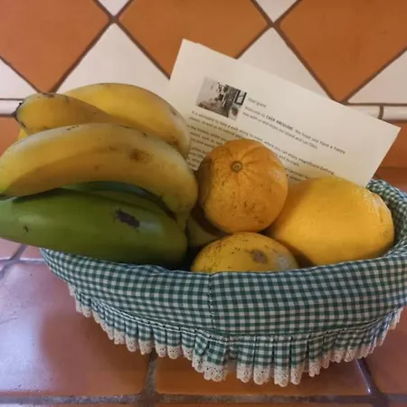Casa Aregume *